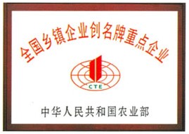 榮譽資質